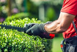 Maintenance