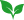 Zebraa Green